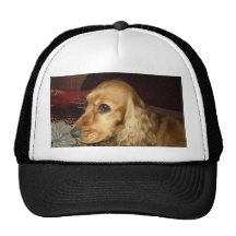 Сocker Truckercap