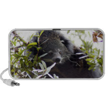 005Bearcat Mp3 Speaker