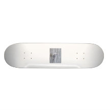 100_0439 SKATEBOARD BRETTER