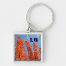 16 keychain kundenspezifischer Orangenbaum-blauer  Schlüsselband