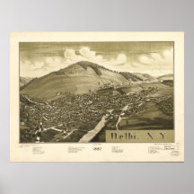 1887 Delhi, NY Vogel-Augen-Ansicht-panoramische Ka Posterdrucke