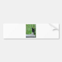 2465873_13844476_b_61_orig auto sticker