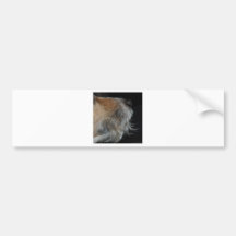 2465873_13844490_jonny6_orig autosticker