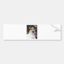 2465873_13844501_jonny7_orig autosticker