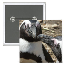 2 Pinguine Anstecknadelbuttons