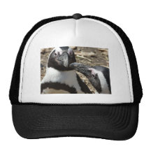 2 Pinguine Retrokultkappen