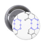 2-Pyridone Chemikalie Basepair Button