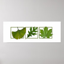 3 Blätter Plakate
