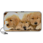 3 goldener Retriever-Welpen-Lautsprecher