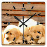 3 Welpen-Uhr (mit Zahlen) Wanduhren