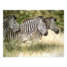 3 Zebra-Einladungen