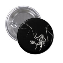 3D Skeleton Halbtondrache 4 Anstecknadelbuttons
