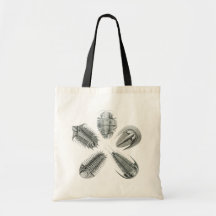 5 Trilobites Tasche