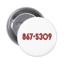 867-5309 ANSTECKNADEL