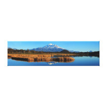 88 M.Ü. SHASTA UND GOLDENES TULES (46X12) GESPANNTER GALERIEDRUCK