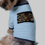 9 Leben in einem hundekleidung