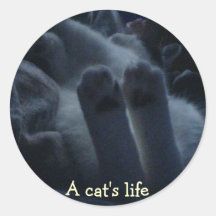 A cat's life runde aufkleber