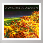 Abends-Blumen Poster
