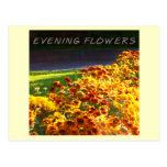 Abends-Blumen Postkarte