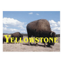 ABH Yellowstone Visitenkarten Vorlagen