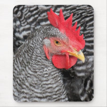 Abhalten-Rock-Huhn Mousepad