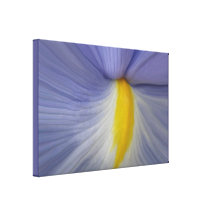 Abstrakte Iris Gespannter Galeriedruck