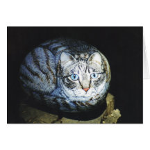 "Acajoubaum" Katzen-Felsenkarte