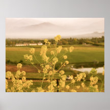Ackerland Plakatdrucke