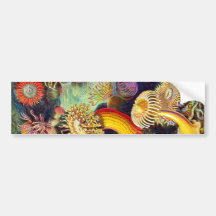 Actiniae (Seeanemonen), Ernst Haeckel Autosticker