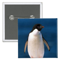 Adelie-Pinguine Anstecknadel