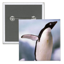 Adelie-Pinguine Anstecknadelbuttons