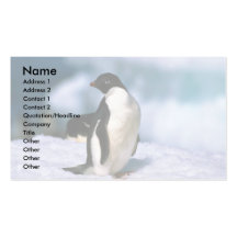 Adelie-Pinguine Visitenkarten Vorlagen