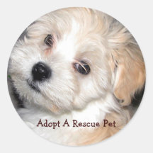 Adoptieren Sie ein Rettungs-Haustier Sticker