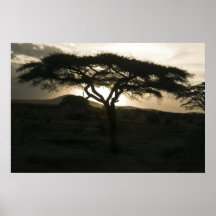 Afrika Plakatdrucke