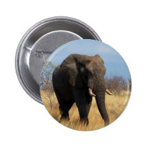 Afrikanischer Elefant Anstecknadelbuttons