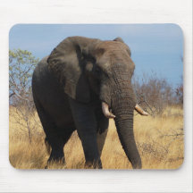 Afrikanischer Elefant Mousepads