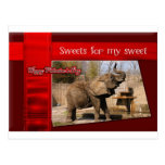 Afrikanischer Elefant-Valentinsgruß-Postkarte