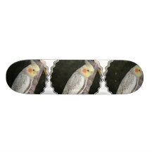 Afrikanisches Grau-Papageien-Skateboard Individuelle Skatedecks