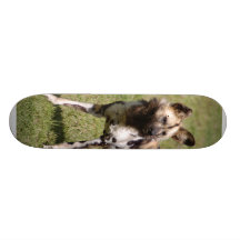 Afrikanisches Skateboard des wilder Hund015 Skate Board