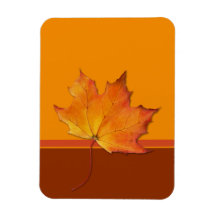 Ahornblatt orange Flexi Magnet