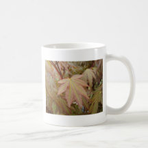 Ahornblatt Teetasse
