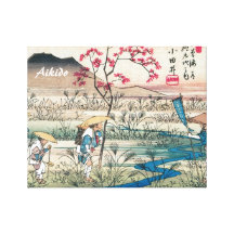 Aikido-Japaner-Kampfkunst Gespannte Galeriedrucke