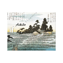 Aikido-Japaner-Kampfkunst Leinwand Drucke