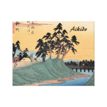 Aikido-Japaner-Kampfkunst Galerie Gefaltete Leinwand