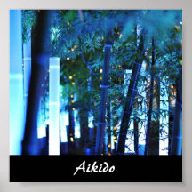 Aikido-Japaner-Kampfkunst Plakat