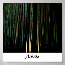 Aikido-Japaner-Kampfkunst Plakatdruck