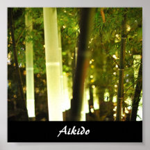 Aikido-Japaner-Kampfkunst Poster