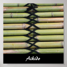 Aikido-Japaner-Kampfkunst Posterdruck