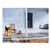 Airedale-Terrier auf der Veranda Postkarten