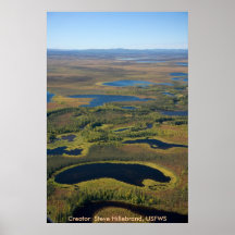Alaska-/Kanuti-Sumpfgebiete, oberer Kanuti Fluss Plakatdruck